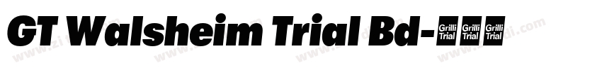 GT Walsheim Trial Bd字体转换